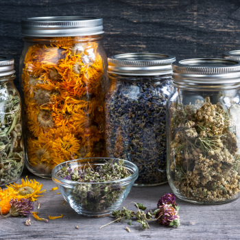 Phytotherapy / Herbs