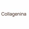 Collagenina