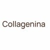 Collagenina