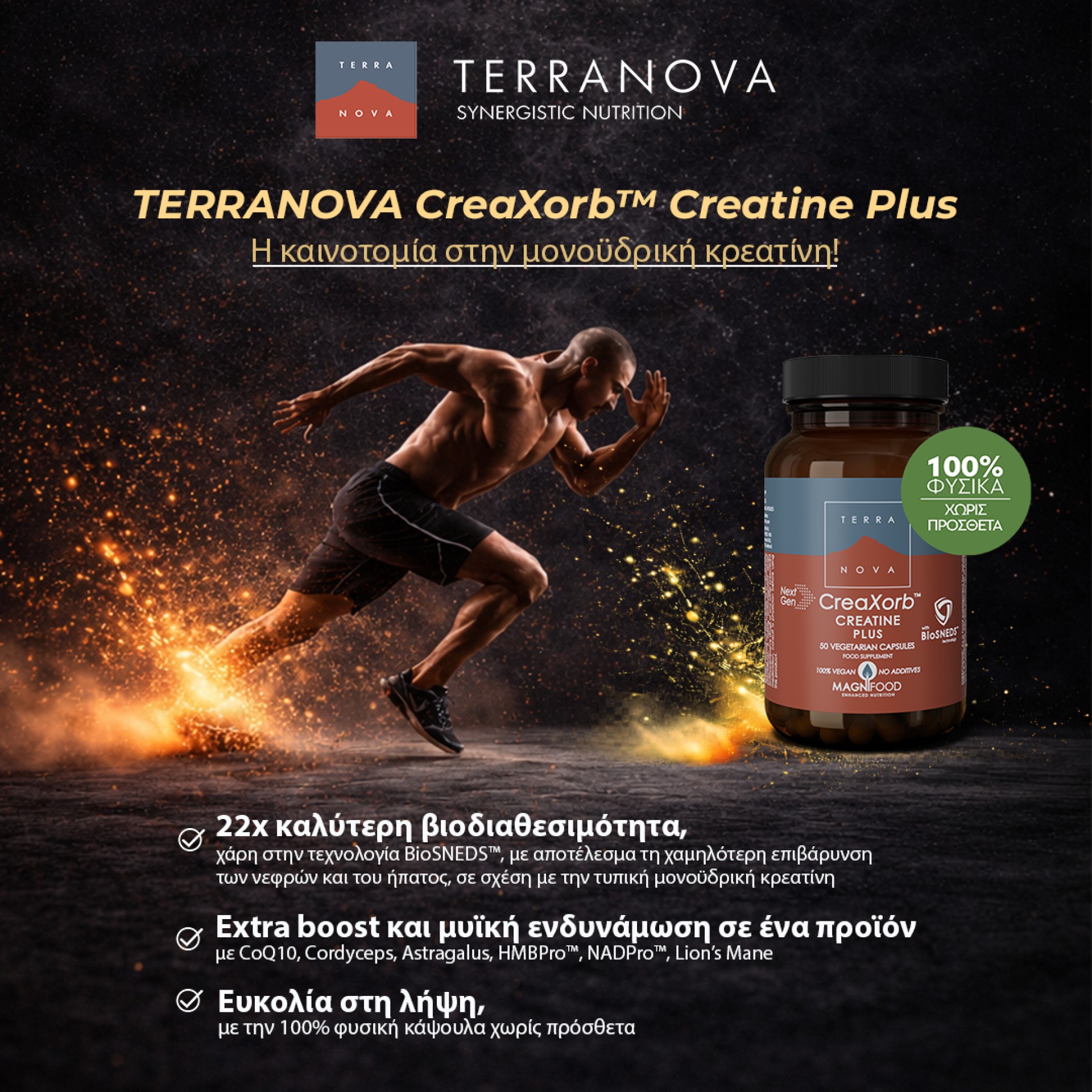 Terranova CreaXorb