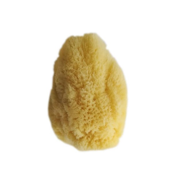 Joy Sea Sponge Soft No 003 Small (Φυσικό Σφουγγάρι Θαλάσσης Μικρό Μέγεθος)