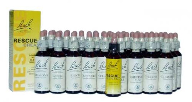 Bach Ανθοϊάματα White Chestnut No35 20ml (Άσπρη Αγριοκαστανιά)