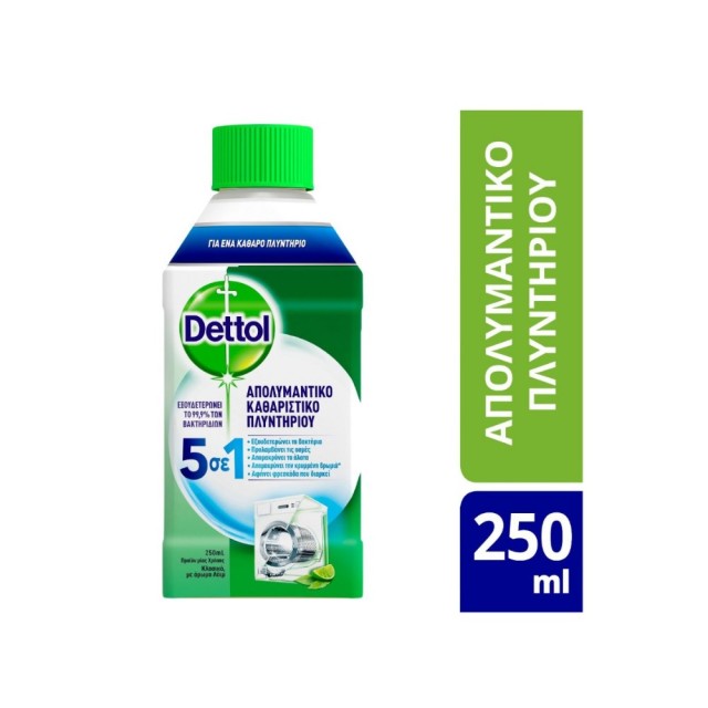 Dettol Anti-Bacterial Laundry Cleanser 5in1 Classic Laim 250ml