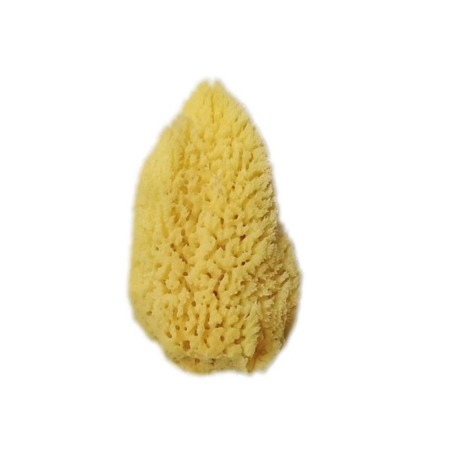 Joy Sea Sponge Make Up (Φυσικό Σφουγγάρι Θαλάσσης Ιδανικό για Μακιγιάζ)