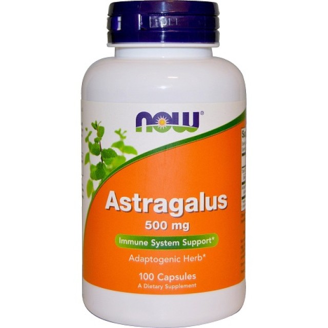 Now Foods Astragalus 500mg 100caps (Τόνωση - Ενέργεια - Ενίσχυση του Ανοσοποιητικού)  