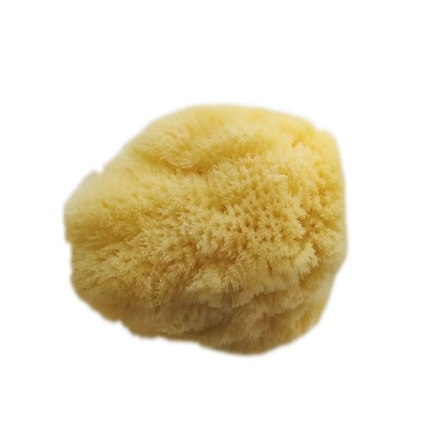Joy Sea Sponge H-H 4-41/2 Medim (Φυσικό Σφουγγάρι Θαλάσσης Μεσαίο Μέγεθος)